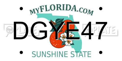 DGYE47 Florida License Plate