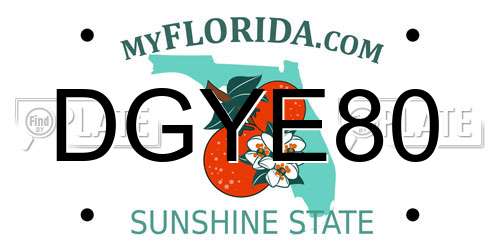 DGYE80 Florida License Plate