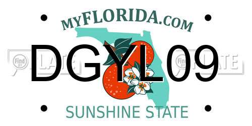 DGYL09 Florida License Plate