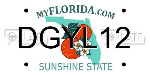 DGYL12 Florida License Plate