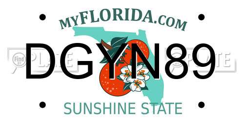 DGYN89 Florida License Plate