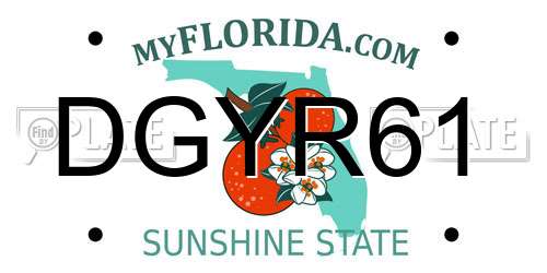 DGYR61 Florida License Plate