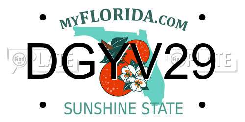DGYV29 Florida License Plate