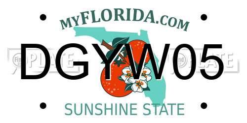 DGYW05 Florida License Plate