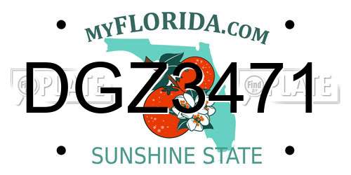DGZ3471 Florida License Plate
