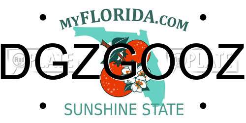 DGZGOOZ Florida License Plate