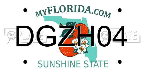 DGZH04 Florida License Plate