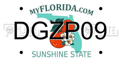 DGZP09 Florida License Plate