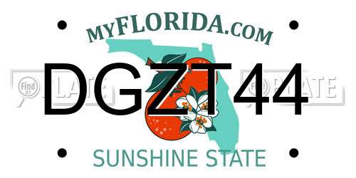 DGZT44 Florida License Plate