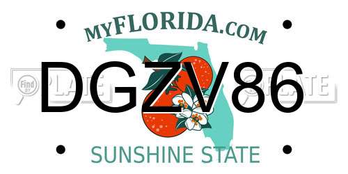 DGZV86 Florida License Plate