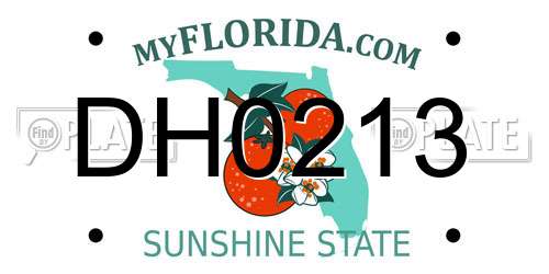 DH0213 Florida License Plate