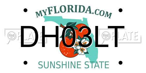 DH03LT Florida License Plate