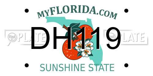 DH119 Florida License Plate