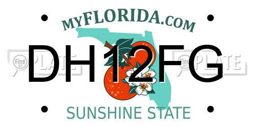 DH12FG Florida License Plate