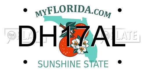 DH17AL Florida License Plate