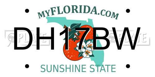 DH17BW Florida License Plate