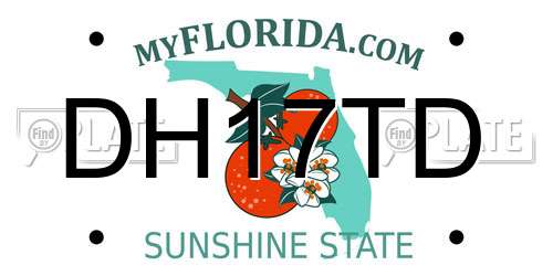 DH17TD Florida License Plate