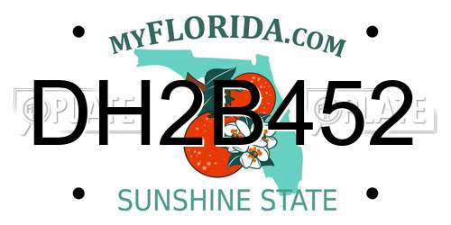 DH2B452 Florida License Plate