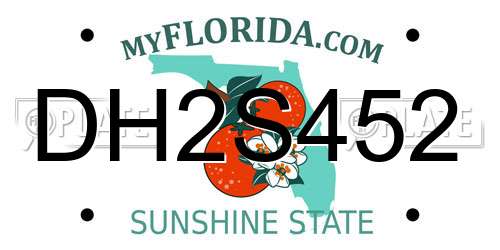 DH2S452 Florida License Plate