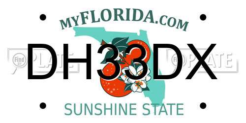DH33DX Florida License Plate