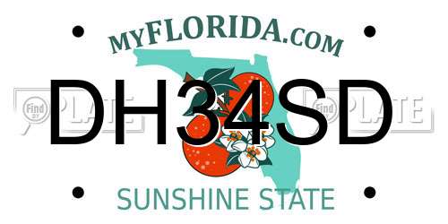 DH34SD Florida License Plate