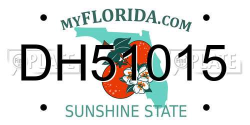 DH51015 Florida License Plate