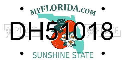 DH51018 Florida License Plate