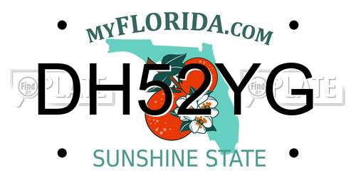 DH52YG Florida License Plate