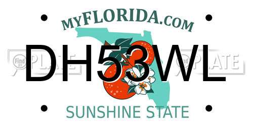 DH53WL Florida License Plate