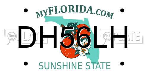 DH56LH Florida License Plate