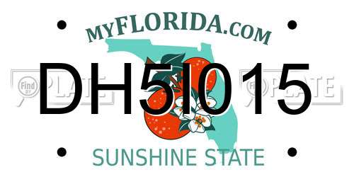DH5I015 Florida License Plate