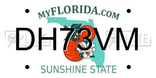DH73VM Florida License Plate