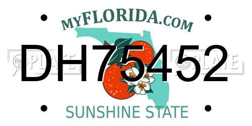 DH75452 Florida License Plate