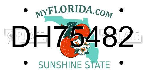 DH75482 Florida License Plate