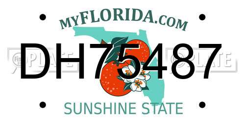 DH75487 Florida License Plate