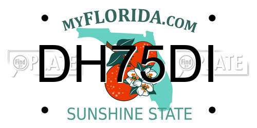 DH75DI Florida License Plate