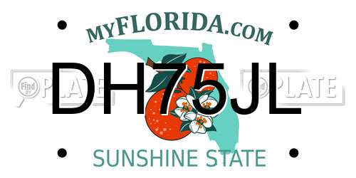 DH75JL Florida License Plate