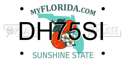 DH75SI Florida License Plate