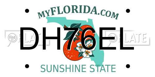 DH76EL Florida License Plate