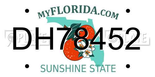 DH78452 Florida License Plate