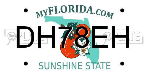 DH78EH Florida License Plate