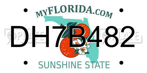 DH7B482 Florida License Plate