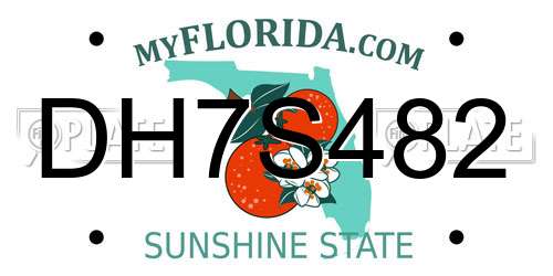 DH7S482 Florida License Plate