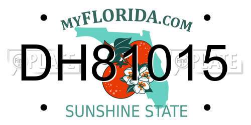 DH81015 Florida License Plate