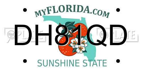 DH81QD Florida License Plate