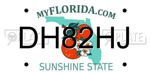 DH82HJ Florida License Plate