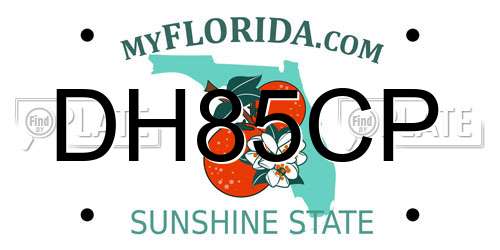 DH85CP Florida License Plate