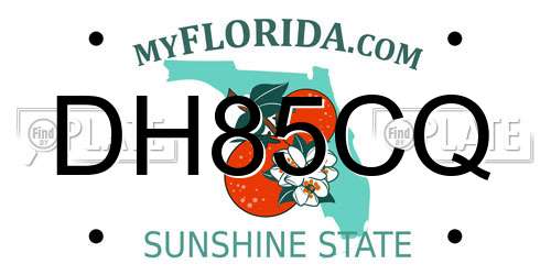 DH85CQ Florida License Plate