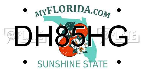DH85HG Florida License Plate