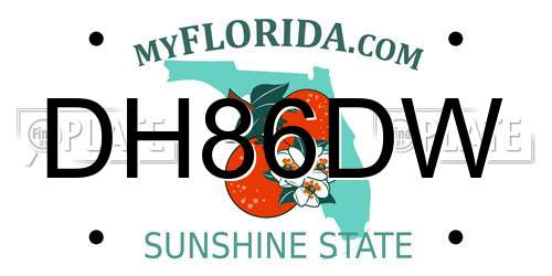 DH86DW Florida License Plate
